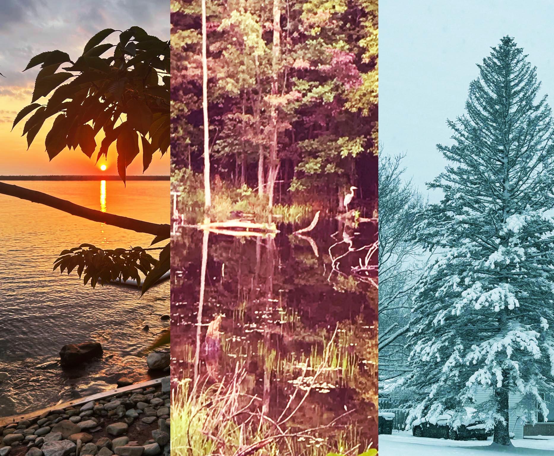 Nature